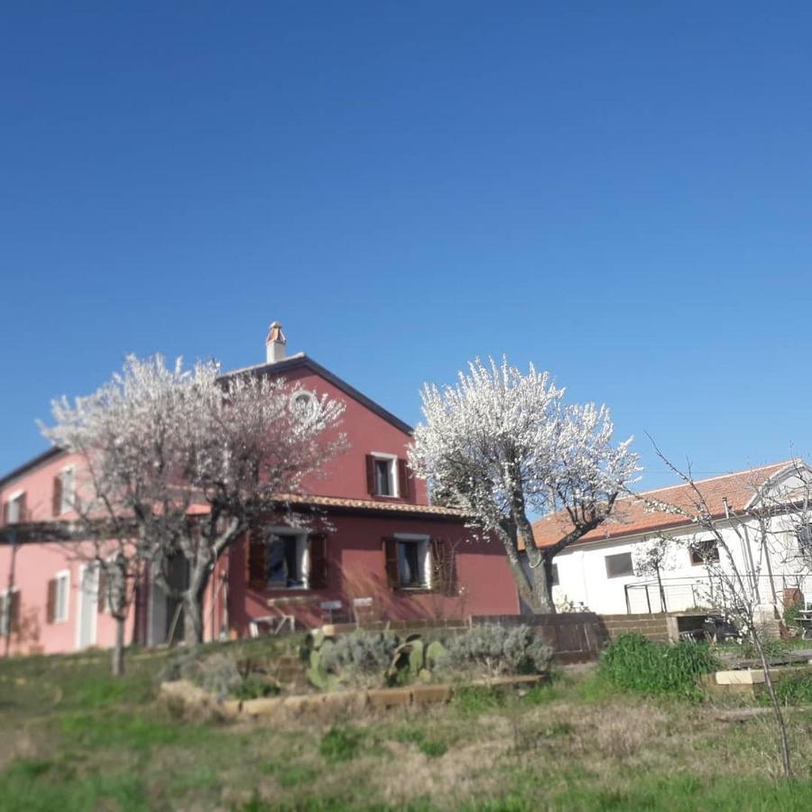 مبيت وإفطار San Costanzo Casa Rosa المظهر الخارجي الصورة